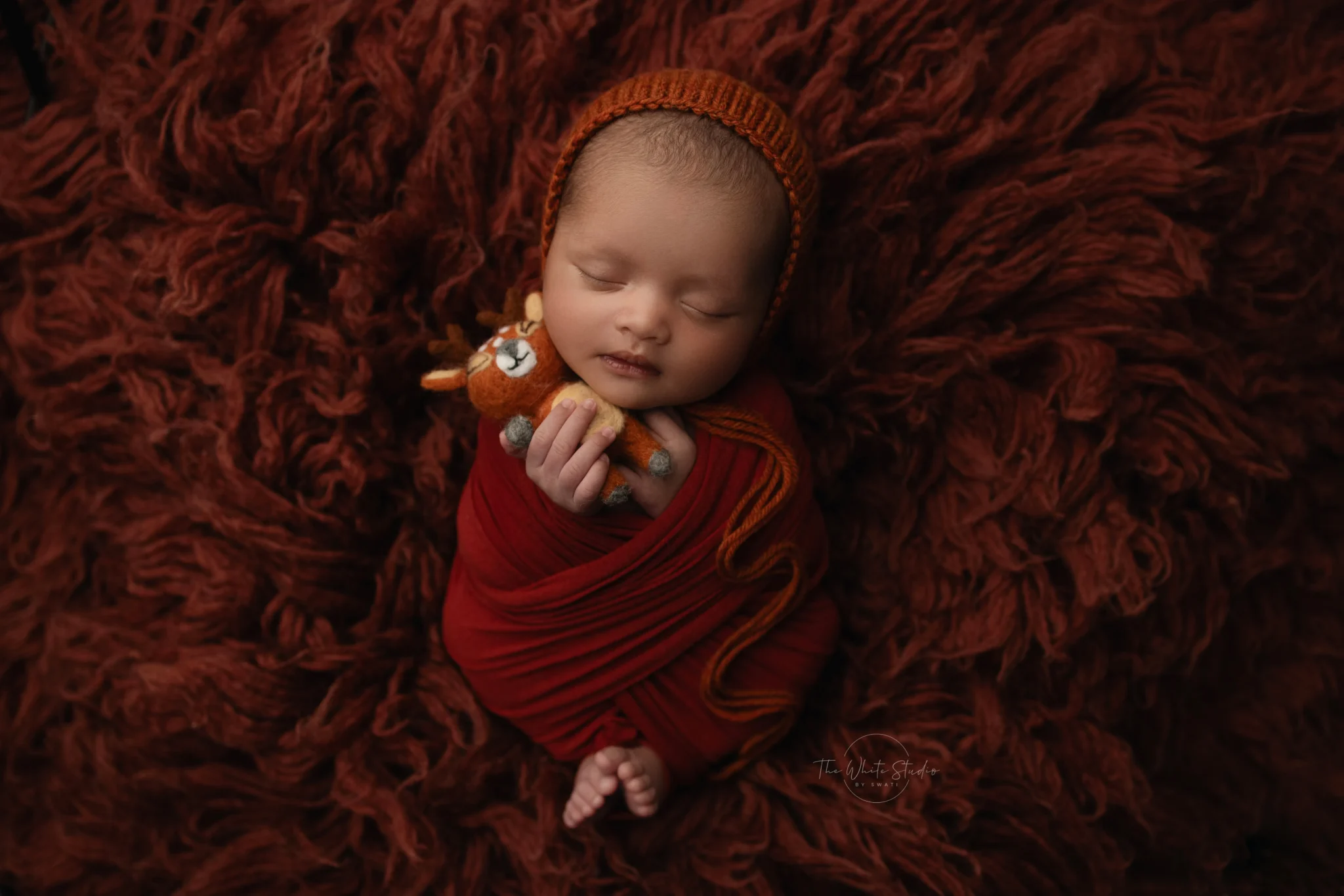 IMGL8371 copy_48_11zon